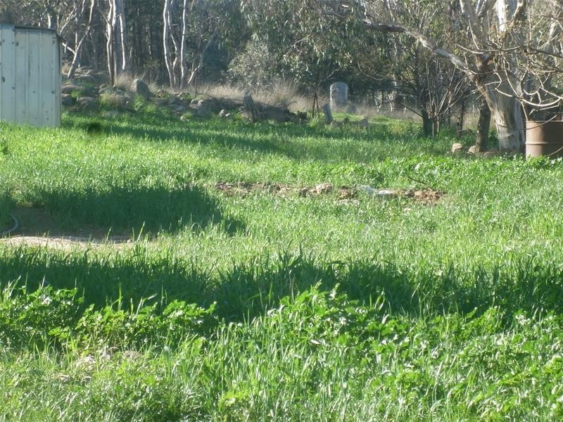 12 Molong Street, Manildra NSW 2865