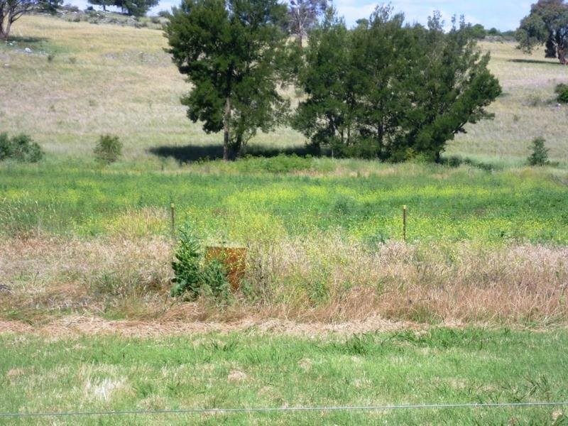 1 Market Street, Molong NSW 2866