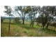 00 Federation Way, Molong NSW 2866