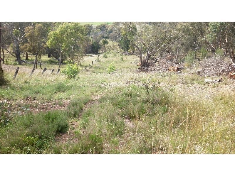 00 Federation Way, Molong NSW 2866