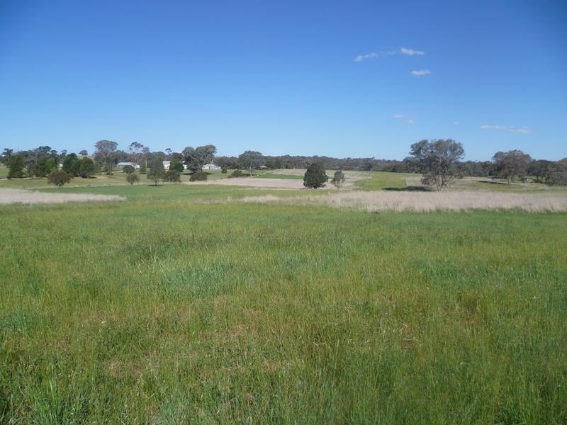 00 Euchareena Road, Molong NSW 2866