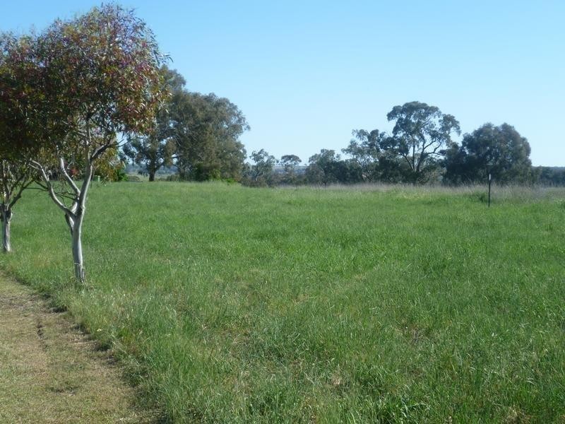 00 Euchareena Road, Molong NSW 2866