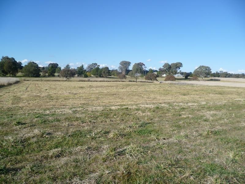 00 Euchareena Road, Molong NSW 2866