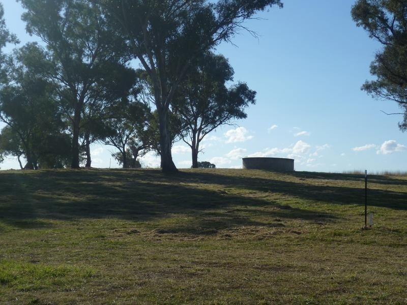 00 Euchareena Road, Molong NSW 2866