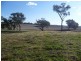 00 Euchareena Road, Molong NSW 2866