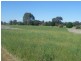 00 Euchareena Road, Molong NSW 2866
