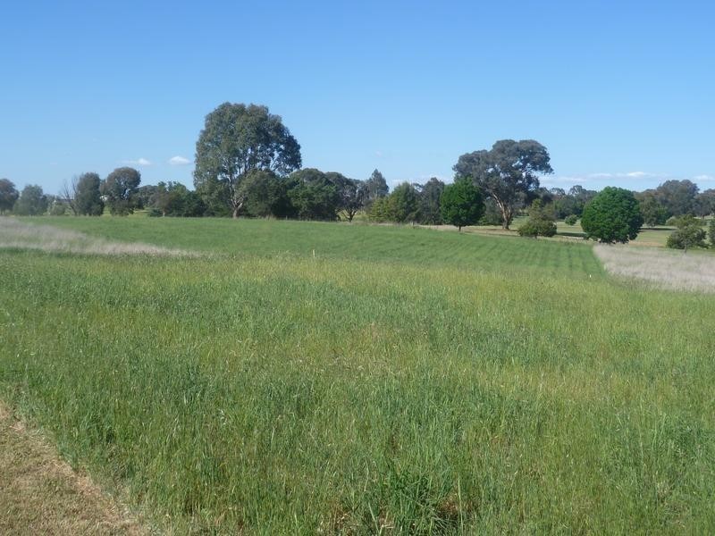 00 Euchareena Road, Molong NSW 2866