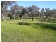 00 Euchareena Road, Molong NSW 2866