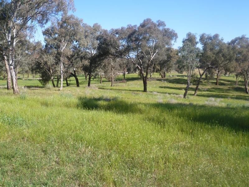 00 Euchareena Road, Molong NSW 2866