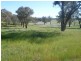 00 Euchareena Road, Molong NSW 2866