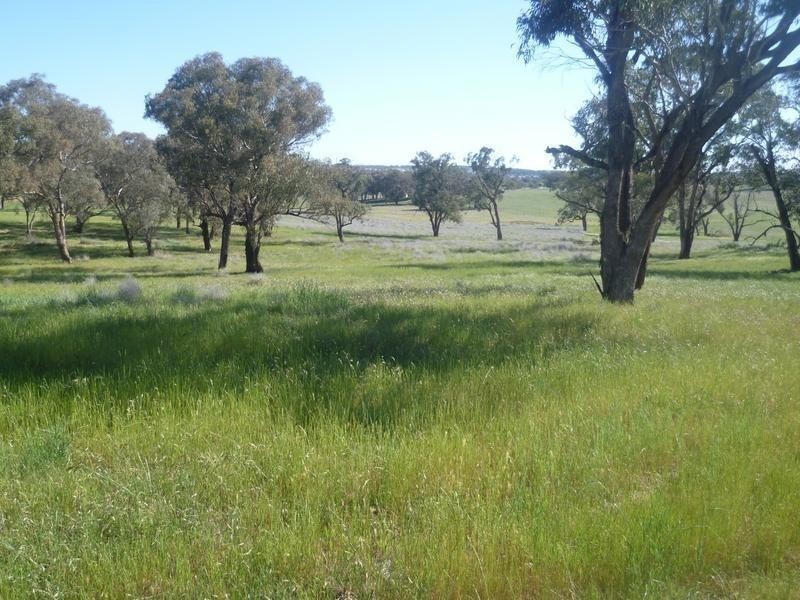 00 Euchareena Road, Molong NSW 2866