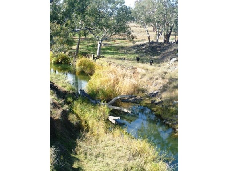 852 Kurrajong Road, Manildra NSW 2865
