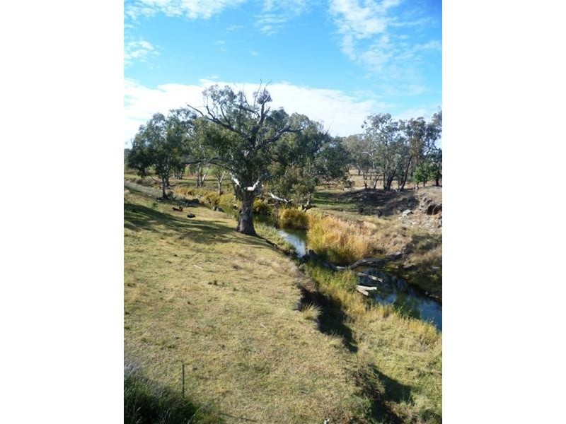 852 Kurrajong Road, Manildra NSW 2865