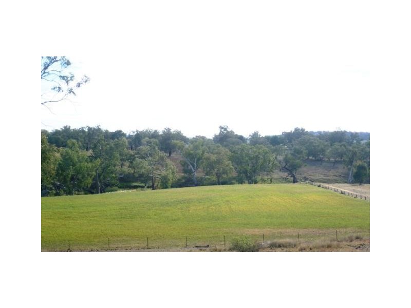 852 Kurrajong Road, Manildra NSW 2865