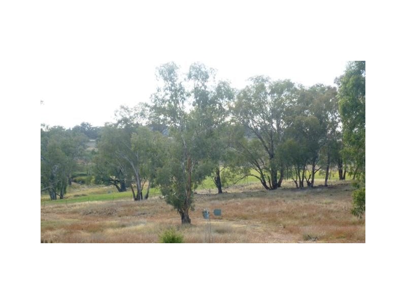 852 Kurrajong Road, Manildra NSW 2865