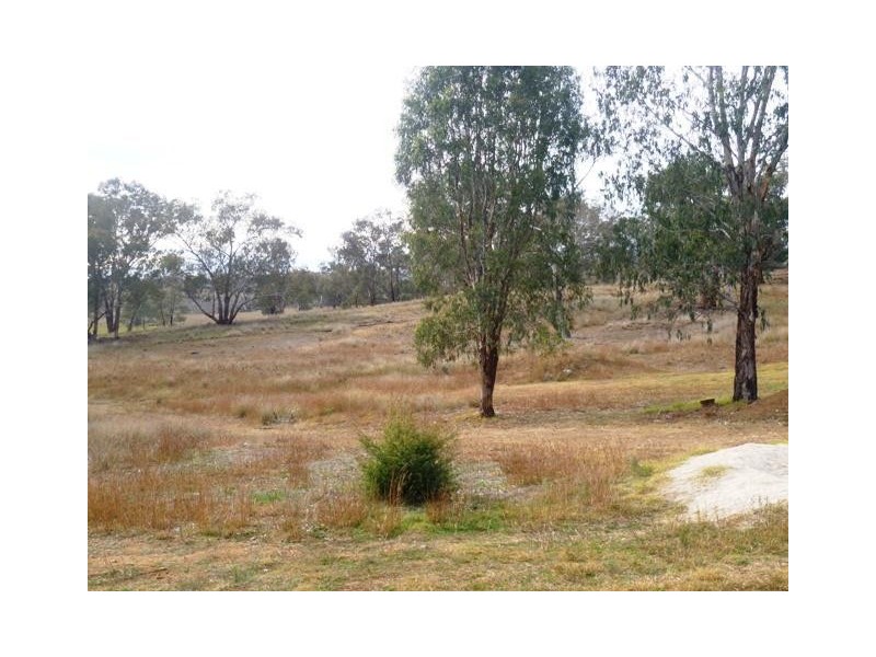 852 Kurrajong Road, Manildra NSW 2865