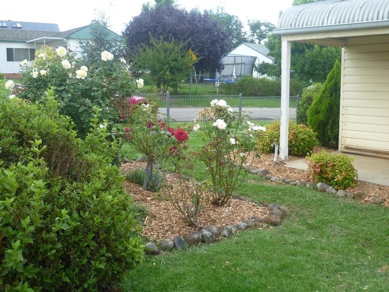 21 Riddell Street, Molong NSW 2866