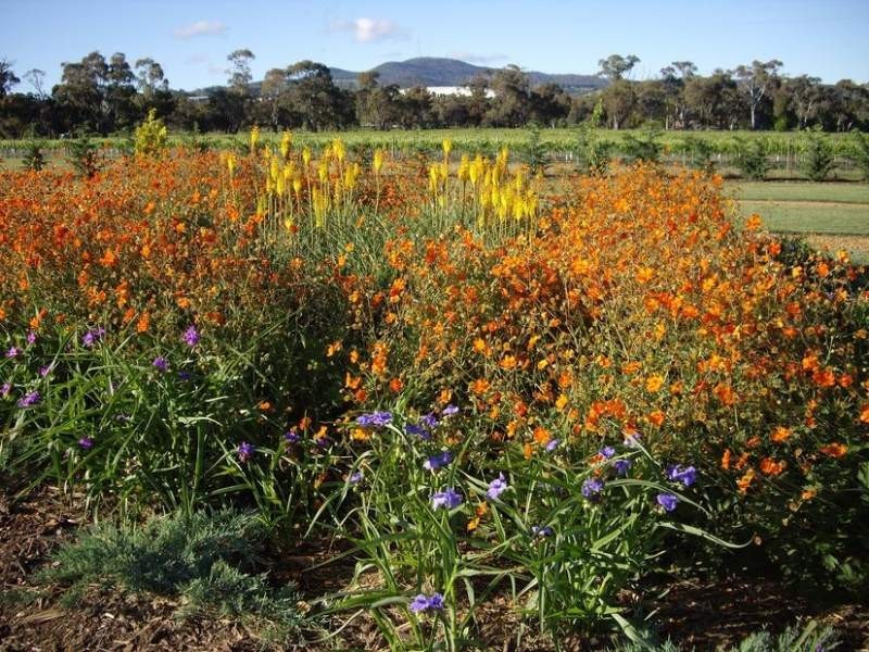 131 Nashdale Lane, Orange NSW 2800