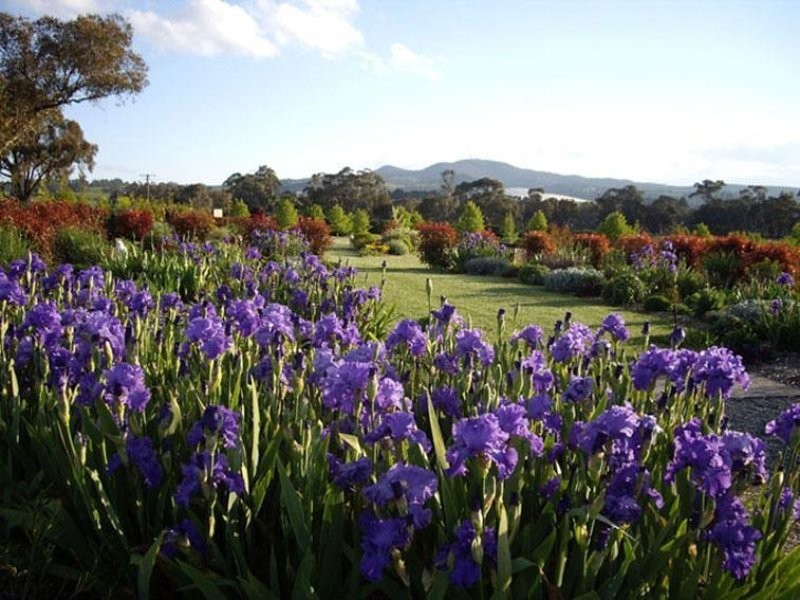 131 Nashdale Lane, Orange NSW 2800