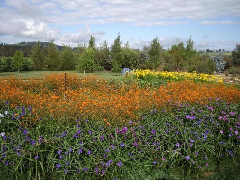 131 Nashdale Lane, Orange NSW 2800