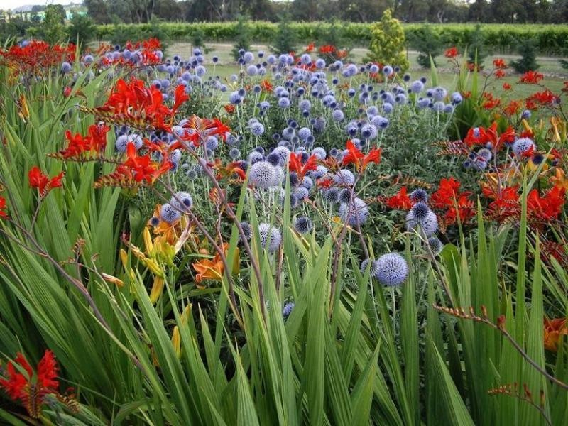 131 Nashdale Lane, Orange NSW 2800