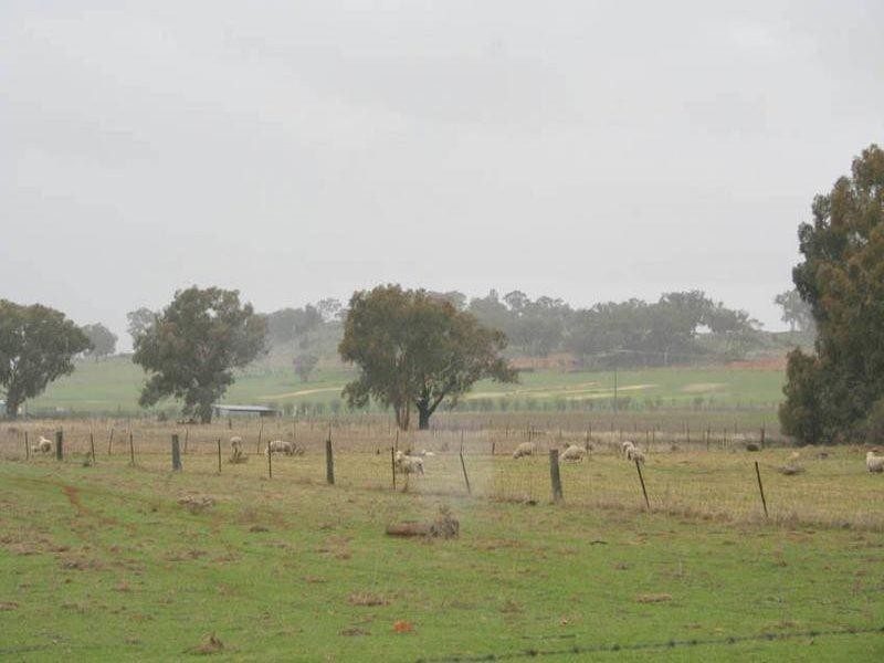 42 Orange Road, Manildra NSW 2865