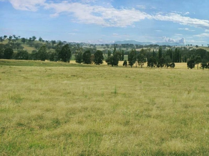 154 Peabody Road, Molong NSW 2866