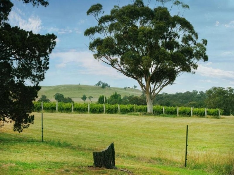 154 Peabody Road, Molong NSW 2866