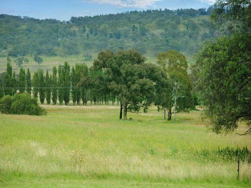 154 Peabody Road, Molong NSW 2866