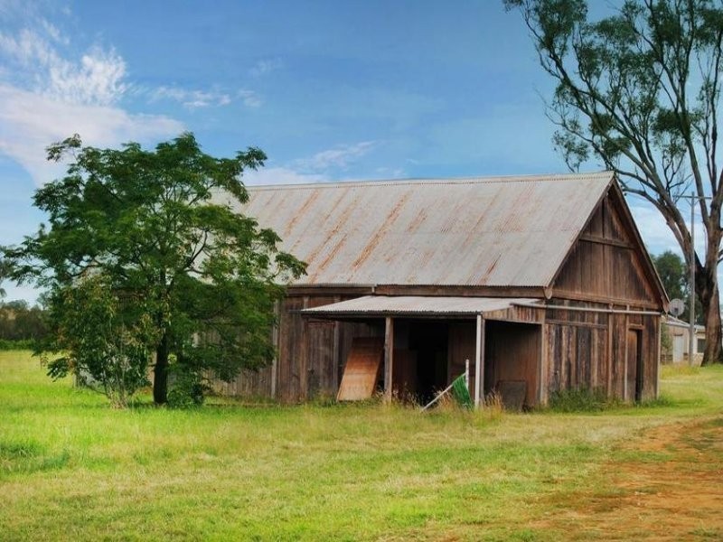 154 Peabody Road, Molong NSW 2866