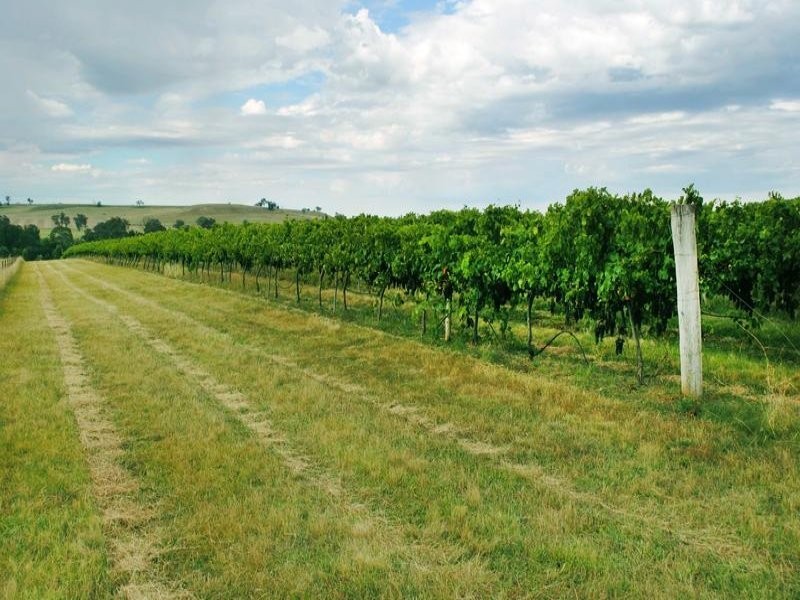 154 Peabody Road, Molong NSW 2866