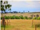 154 Peabody Road, Molong NSW 2866
