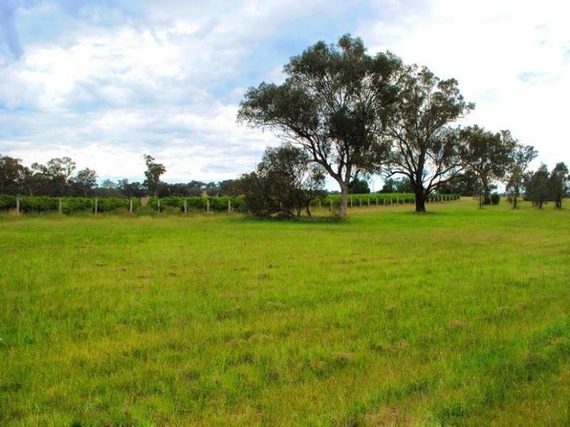 154 Peabody Road, Molong NSW 2866