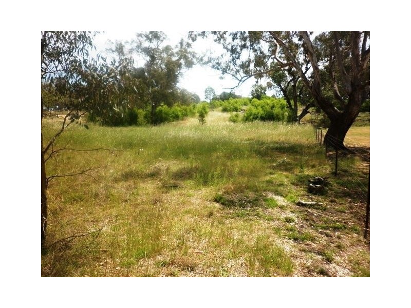 95 Packham Drive, Molong NSW 2866