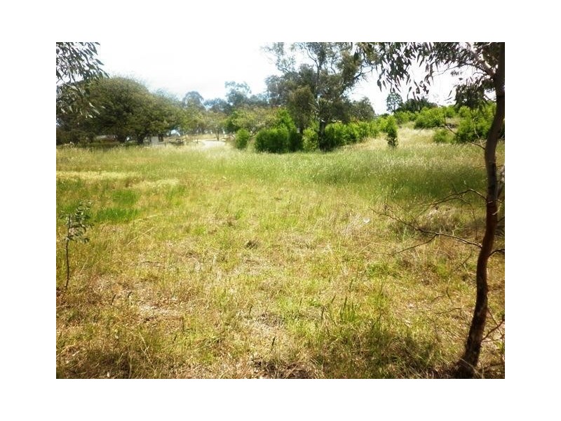 95 Packham Drive, Molong NSW 2866