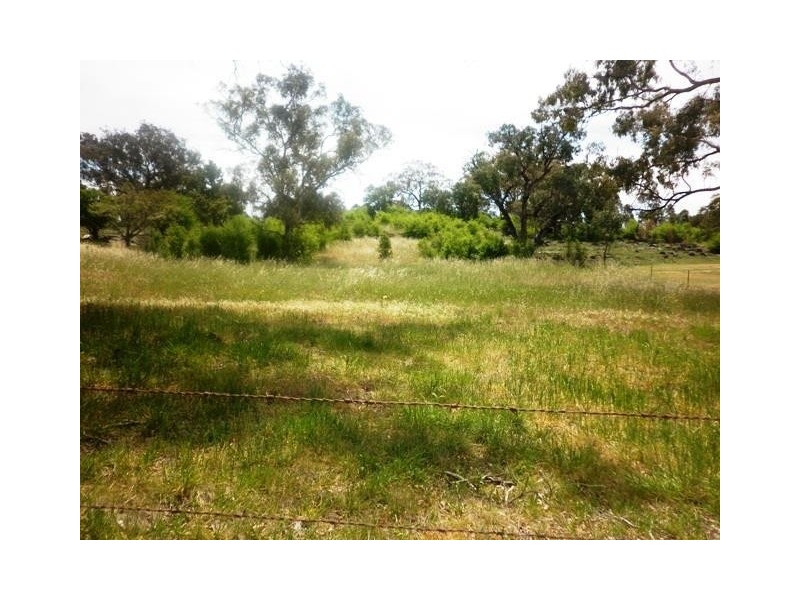 95 Packham Drive, Molong NSW 2866