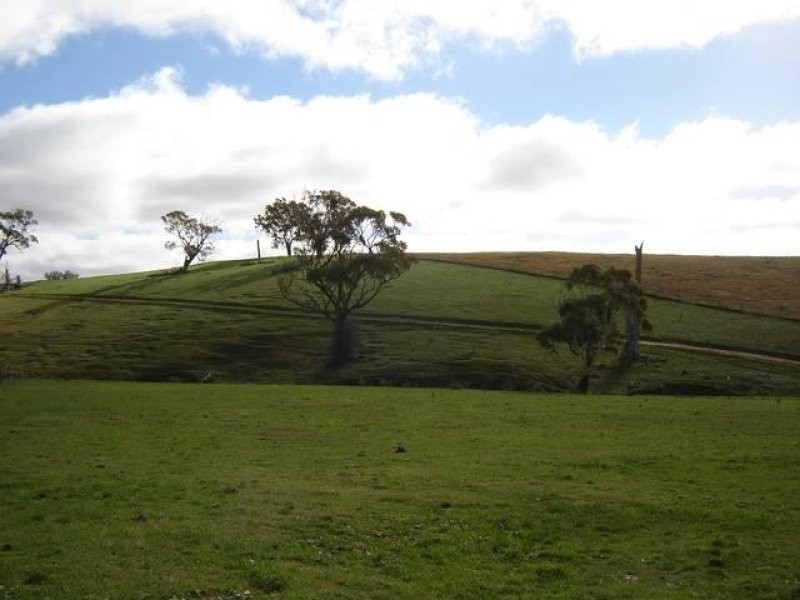 1572 Carcoar Road, Carcoar NSW 2791