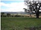1572 Carcoar Road, Carcoar NSW 2791