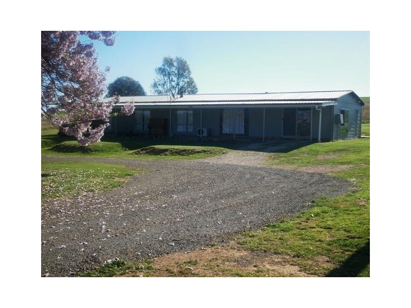 131 Livermore Lane, Manildra NSW 2865