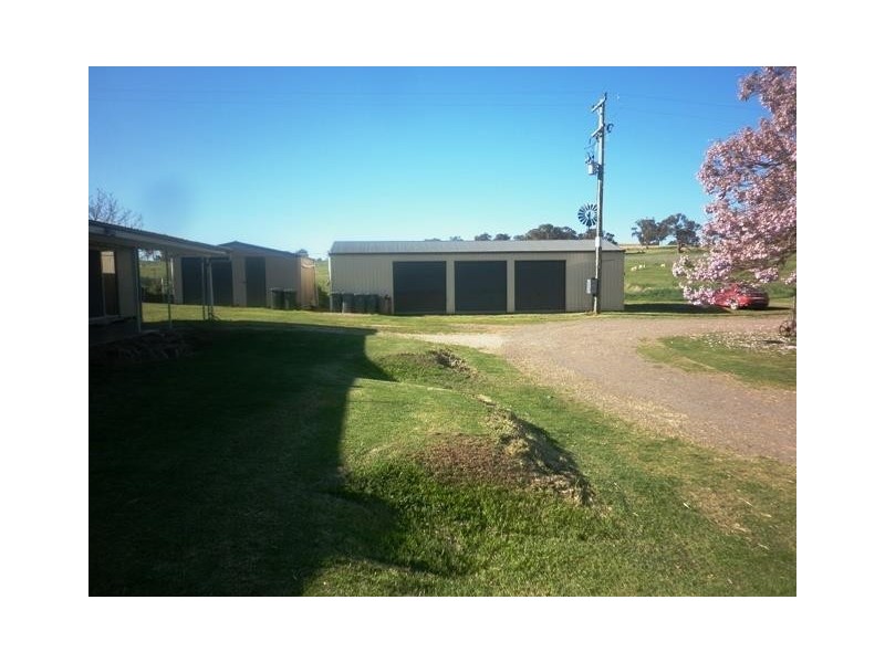 131 Livermore Lane, Manildra NSW 2865