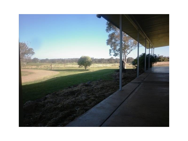 131 Livermore Lane, Manildra NSW 2865