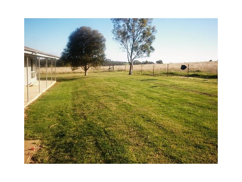 131 Livermore Lane, Manildra NSW 2865