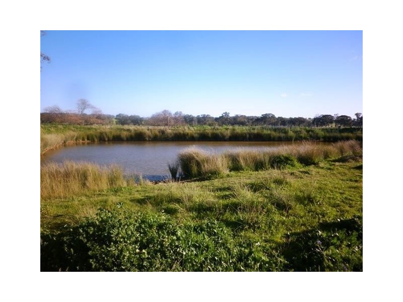 131 Livermore Lane, Manildra NSW 2865