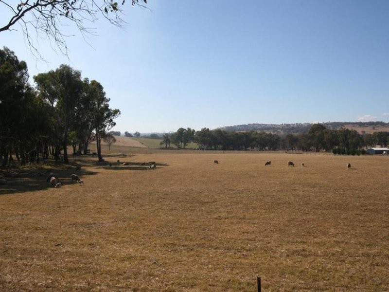 1955 Davys Plains Road, Cargo NSW 2800