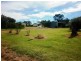 23 Cudal Street, Molong NSW 2866