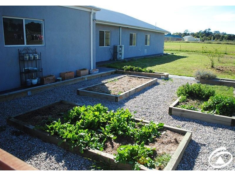 141 Forest Reefs Road, Millthorpe NSW 2798