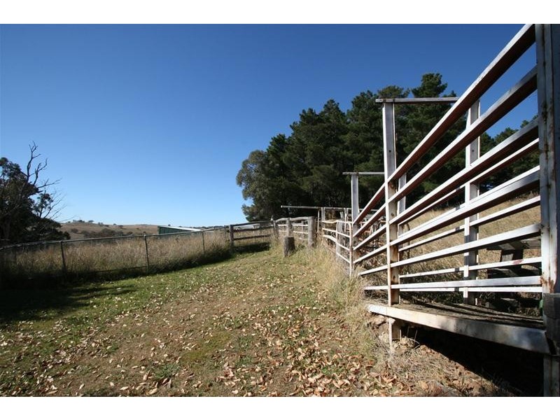 229 Convent Lane, Orange NSW 2800