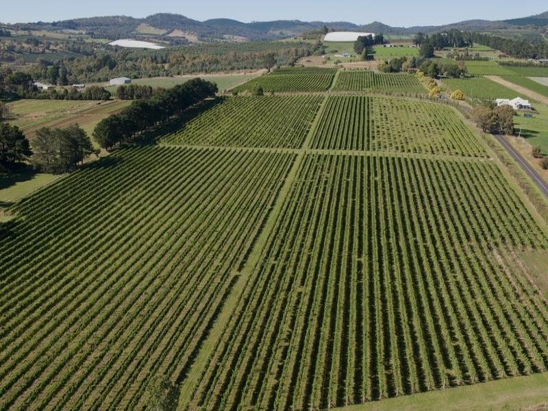 613 Cargo Road, Orange NSW 2800