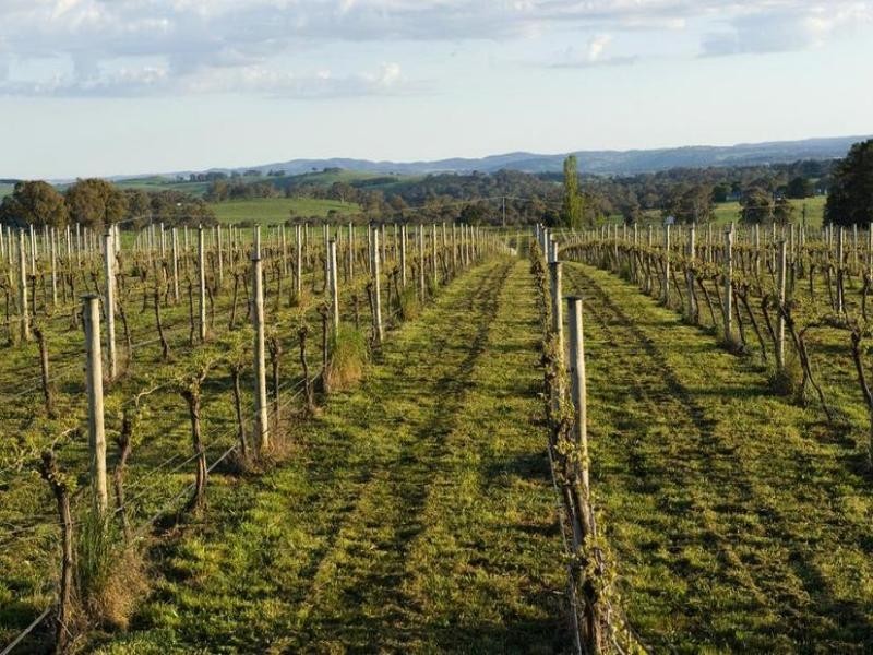 613 Cargo Road, Orange NSW 2800