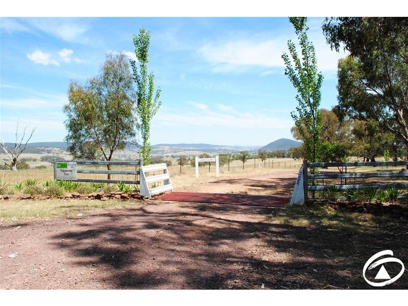 2683 Cargo Road, Cargo NSW 2800